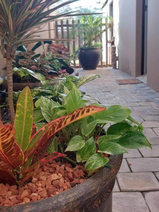 Hide Away On 21 Apartment Mossel Bay Bagian luar foto
